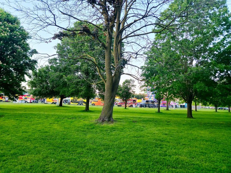 20250531_204125.jpg