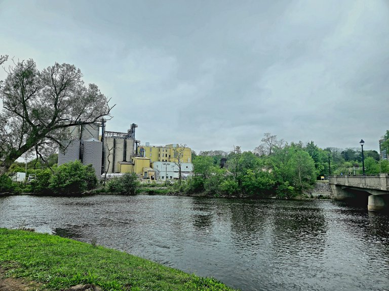20250518_122955.jpg