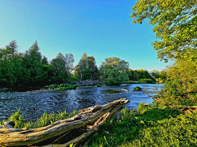 20250516_194900.jpg