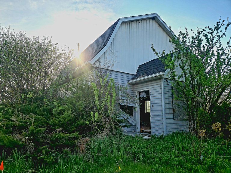 20250507_182653.jpg