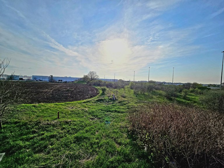 20250507_183333.jpg