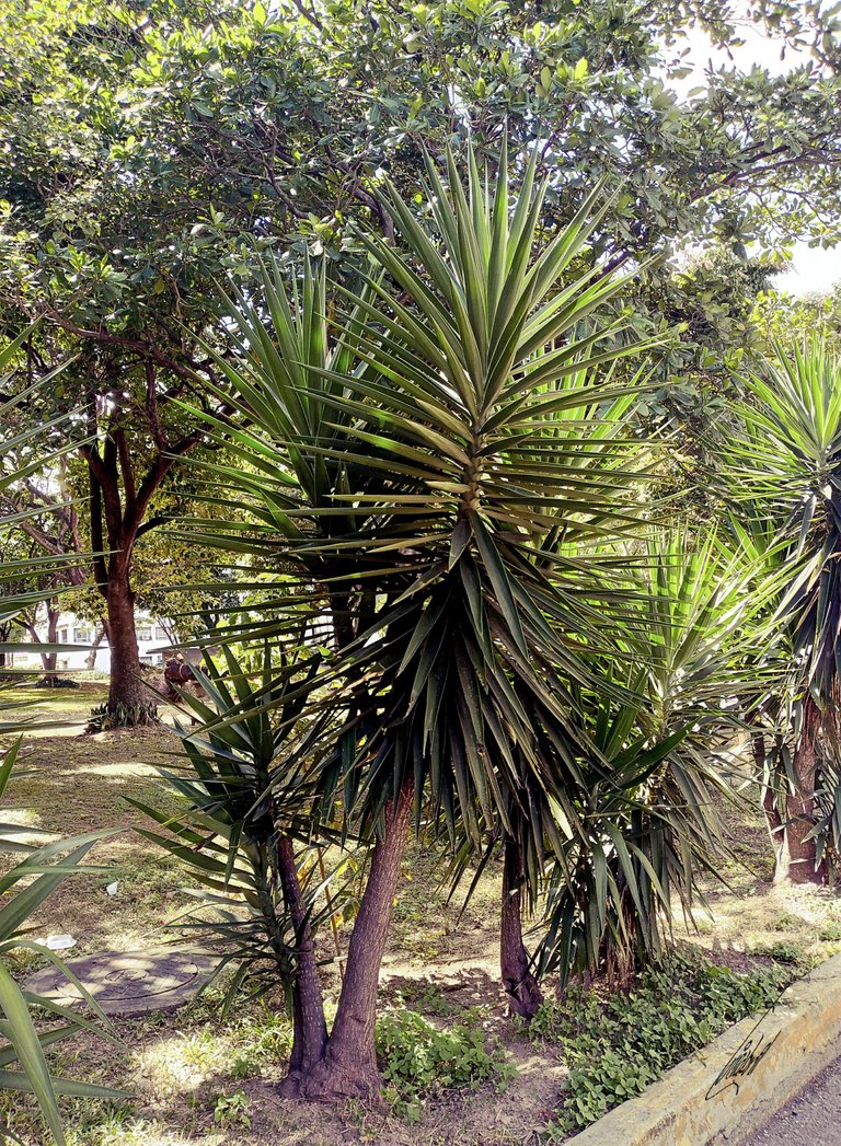 VISITA AL CLINICO 2A TRINABRIL.jpg