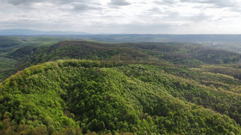 dji_fly_20230429_164426_22_1682798413576_photo_optimized.jpg
