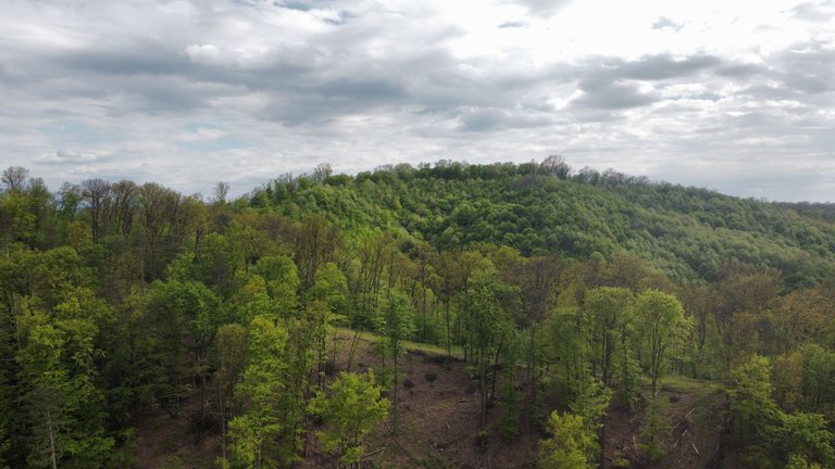 dji_fly_20230429_164348_17_1682798394676_photo_optimized.jpg