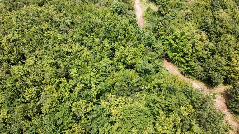 dji_fly_20240624_144658_773_1719259418192_photo_optimized.jpg