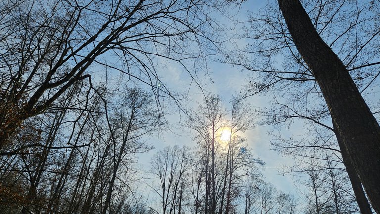 20250308_143255.jpg