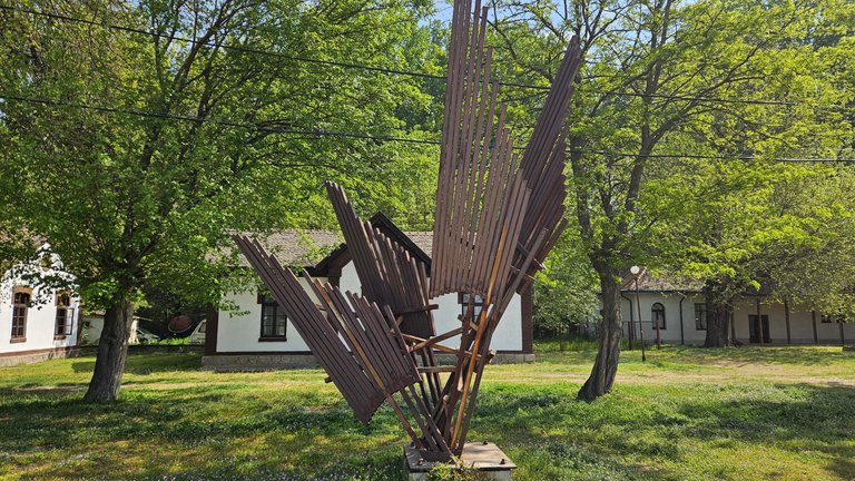 20250426_110937.jpg