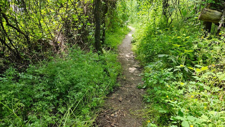 20250510_133838.jpg