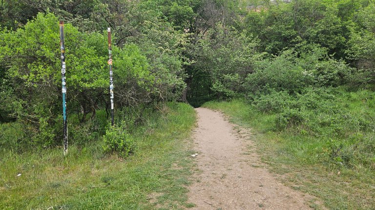 20250502_175631.jpg