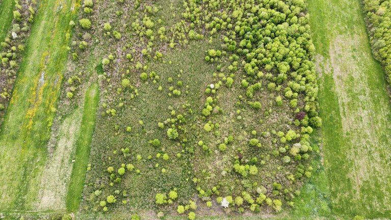 dji_fly_20230429_161736_998_1682798045634_photo_optimized.jpg