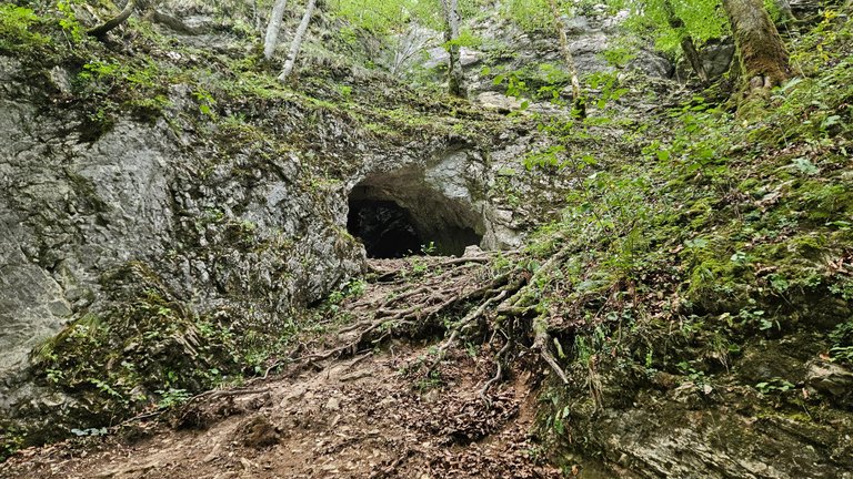 20250629_140656.jpg