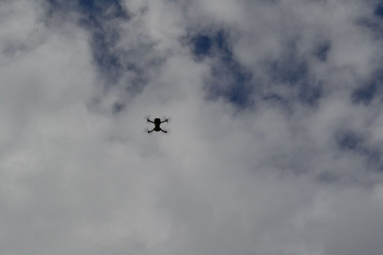 DSC_0120.JPG
