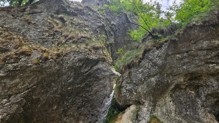 20250629_142418.jpg