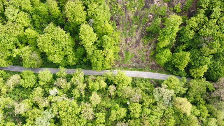dji_fly_20230429_164644_30_1682798535628_photo_optimized.jpg