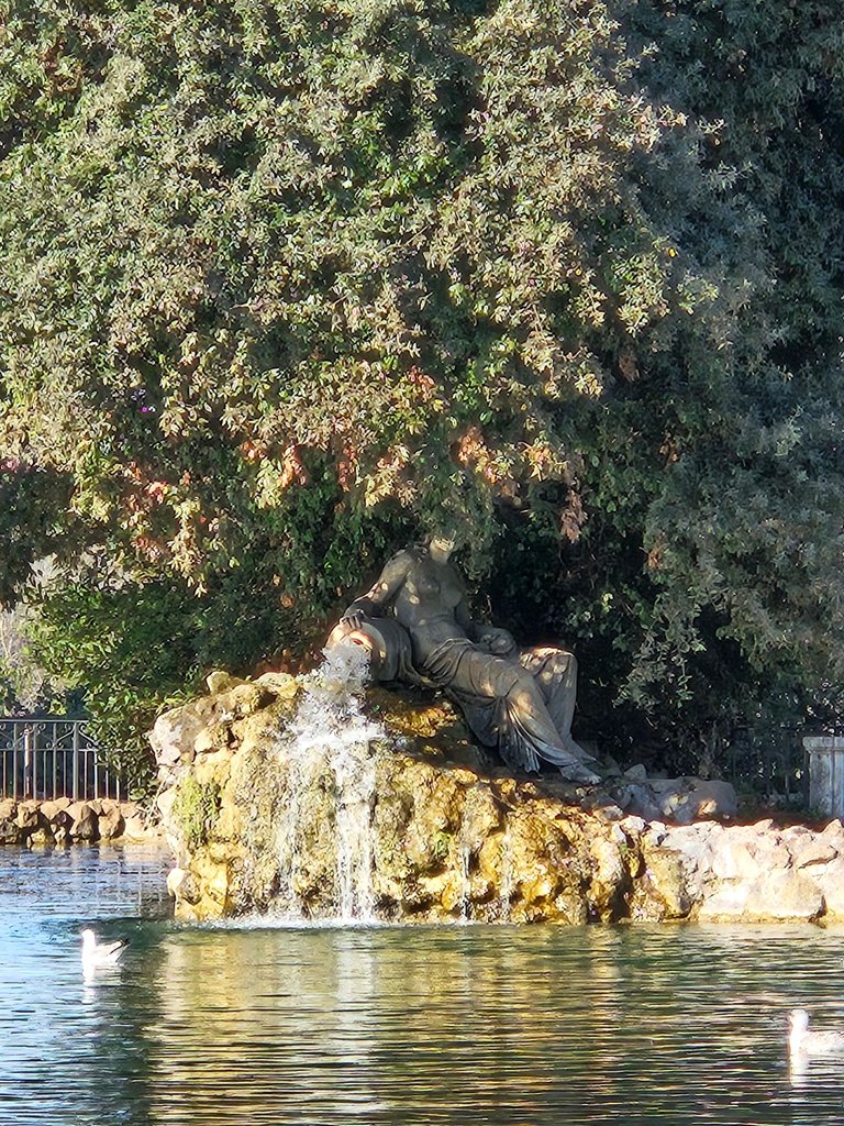 20240127_133738.jpg
