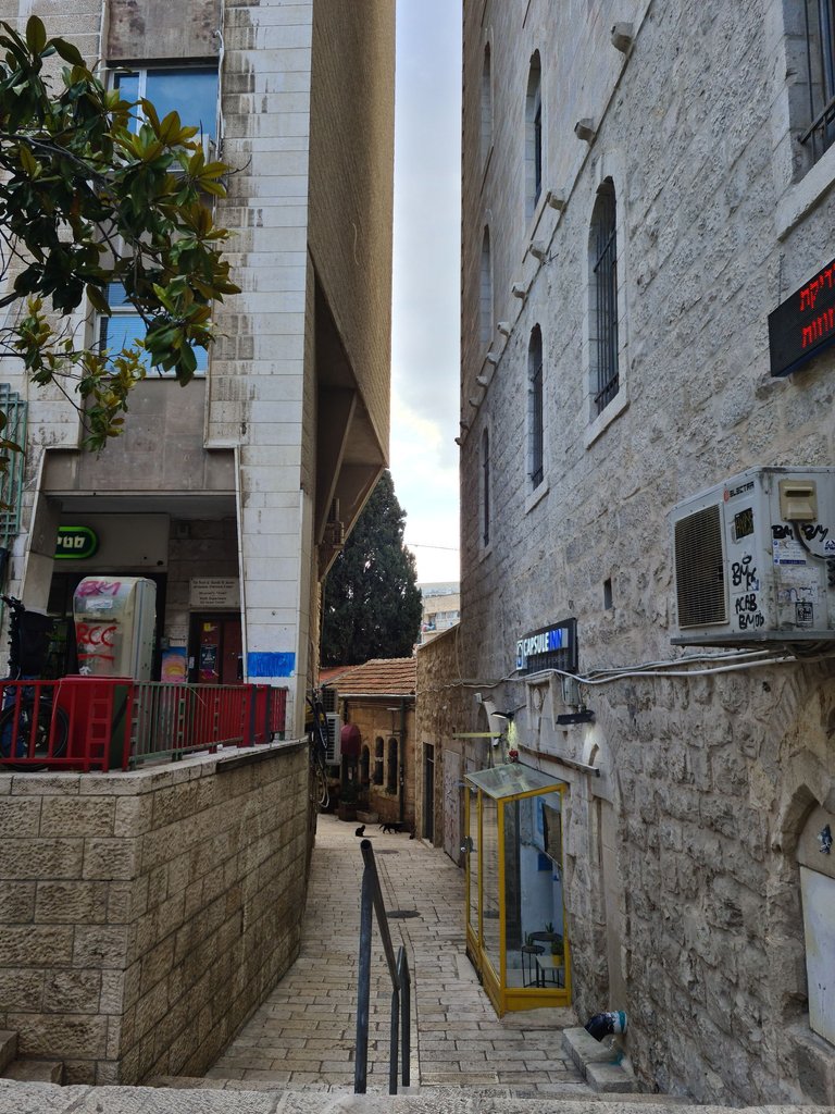 20230214_150059.jpg