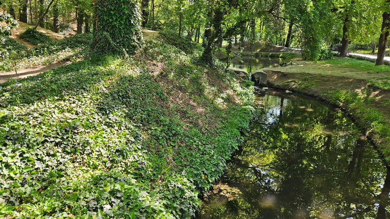 20250425_103152.jpg
