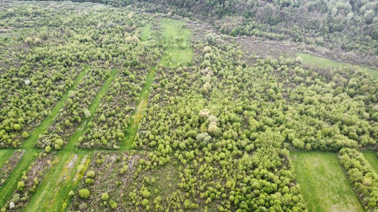 dji_fly_20230429_161746_999_1682798052856_photo_optimized.jpg