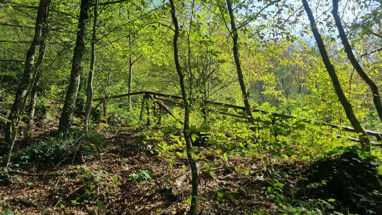20220924_115732.jpg
