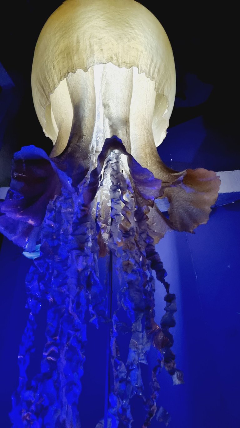 20220918_141200.jpg