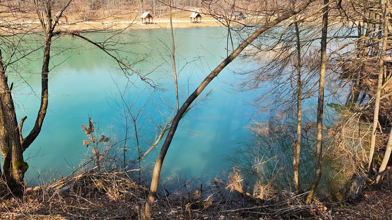 20250308_143152.jpg