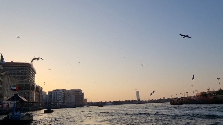 VideoCapture_20250129-230813.jpg