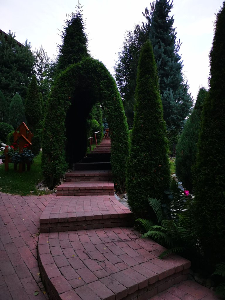 IMG_20220702_205045.jpg