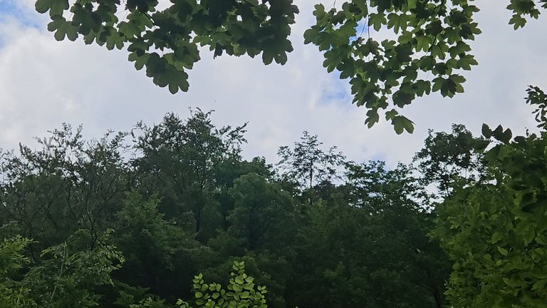 20250629_143043.jpg