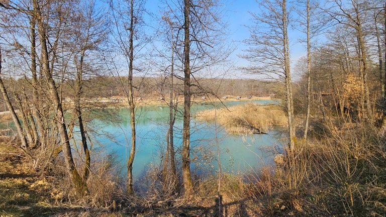 20250308_142627.jpg