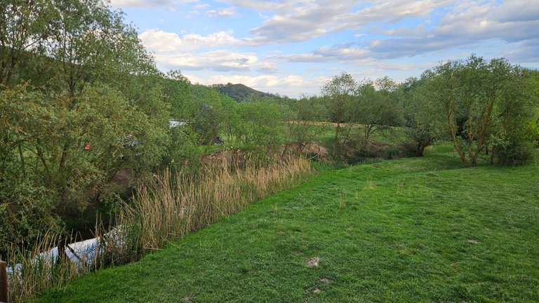 20250502_185356.jpg