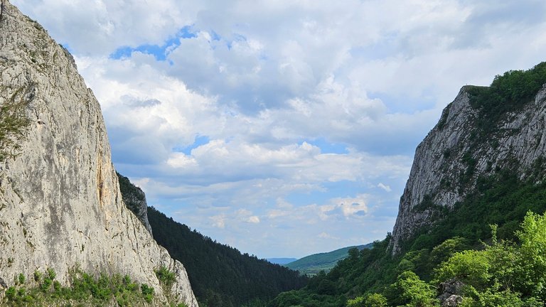 20250502_161630.jpg