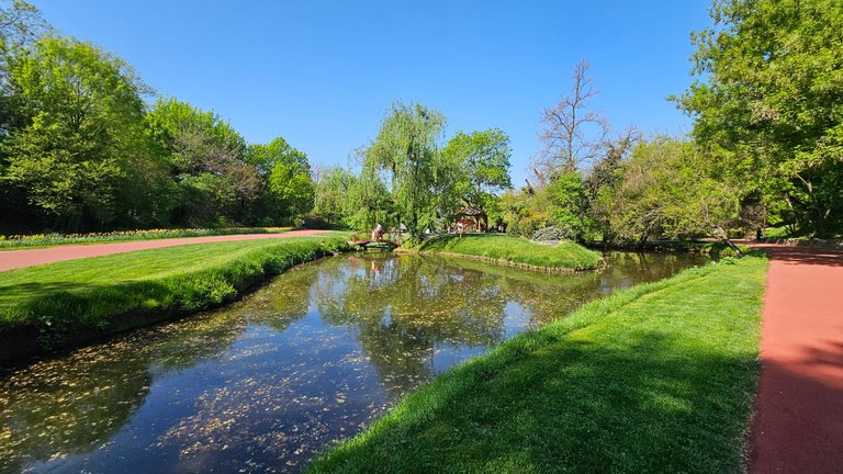 20250425_104826.jpg