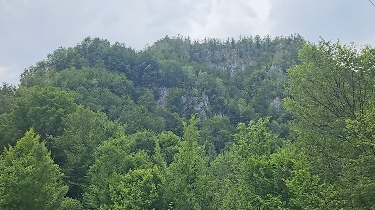 20250629_144441.jpg