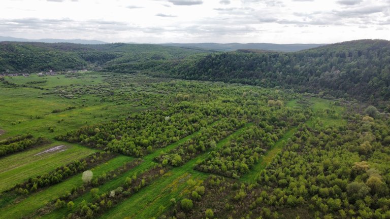 dji_fly_20230429_161504_980_1682797938036_photo_optimized.jpg