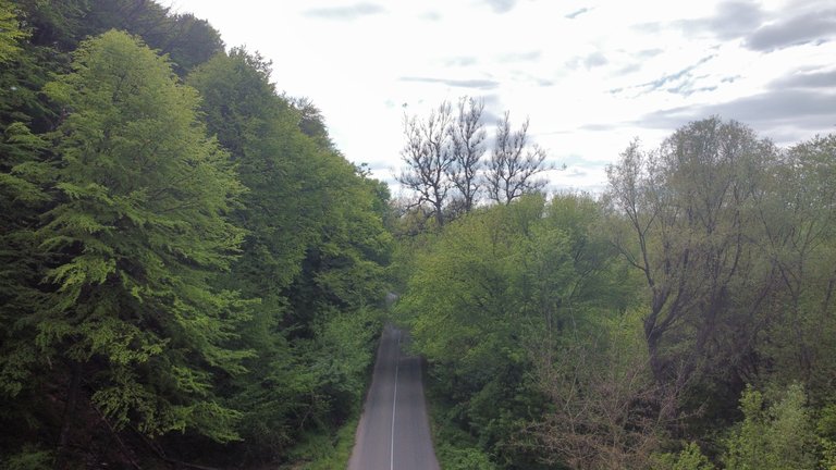 dji_fly_20230429_164302_13_1682798374388_photo_optimized.jpg