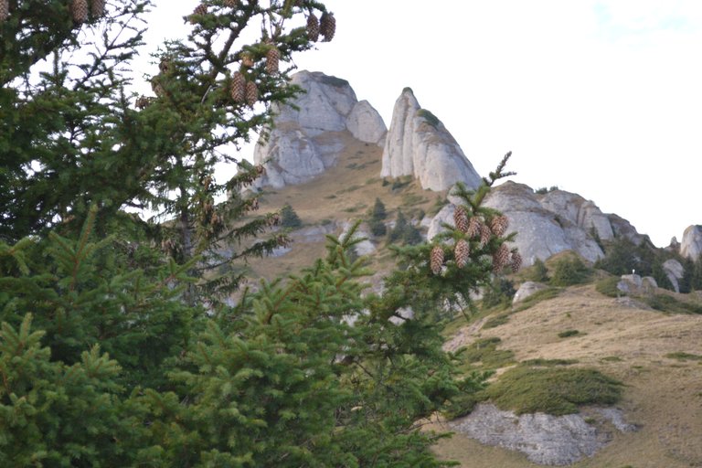 DSC_0088.JPG
