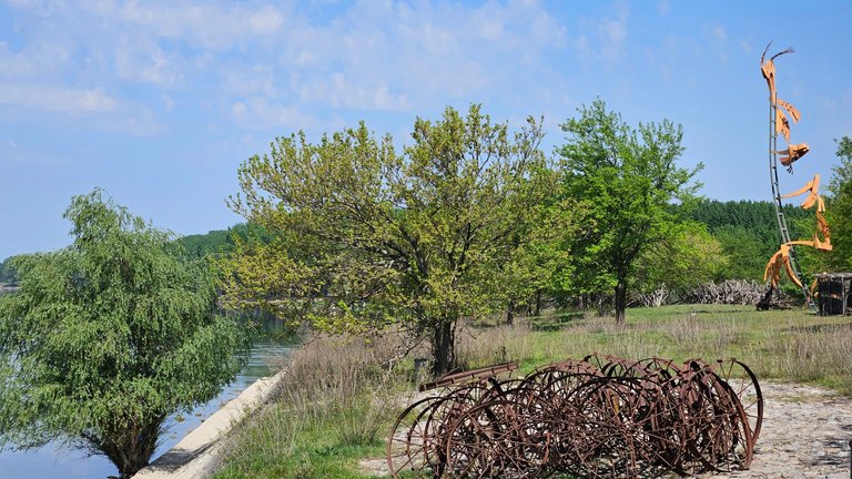 20250426_114210.jpg