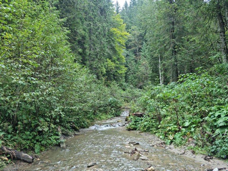 20230917_140415.jpg