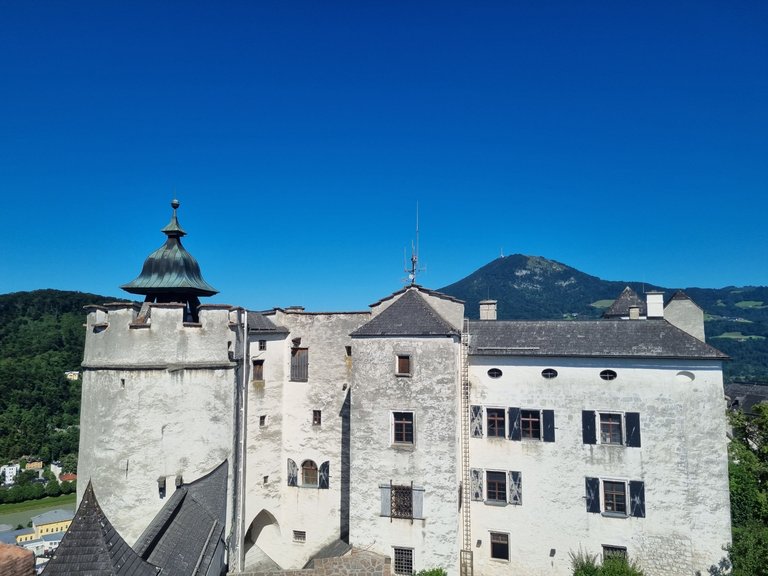 20230811_153904.jpg