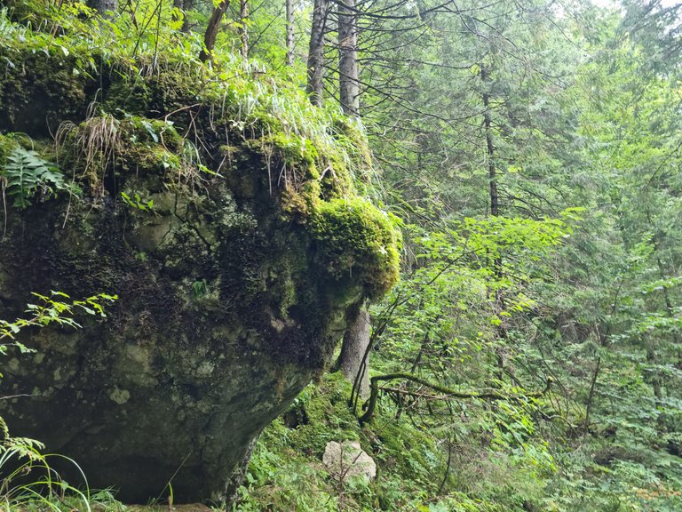20230917_142518.jpg