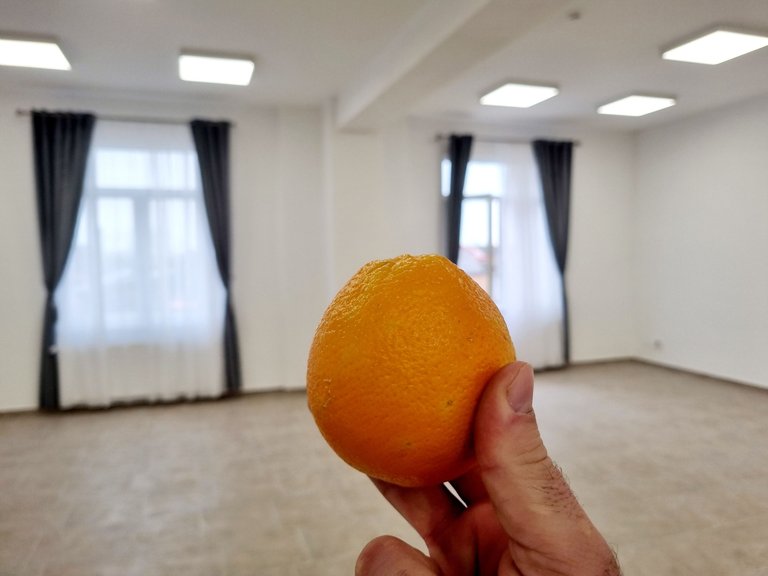 20231215_114412.jpg