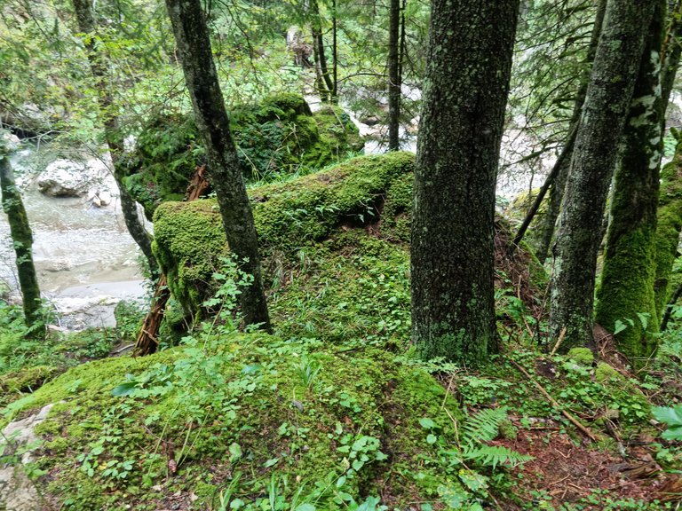 20230917_142521.jpg
