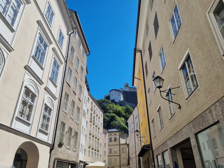 20230811_145833.jpg