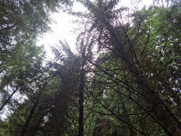 20230917_141831.jpg
