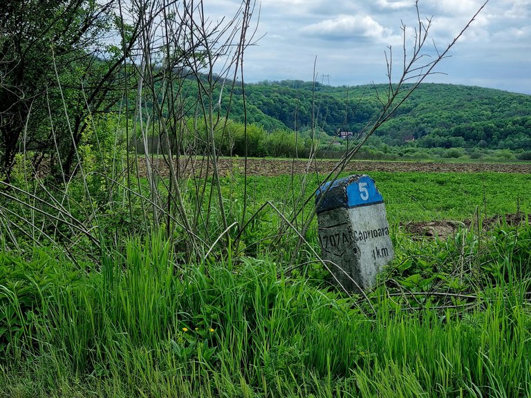20230429_160927.jpg