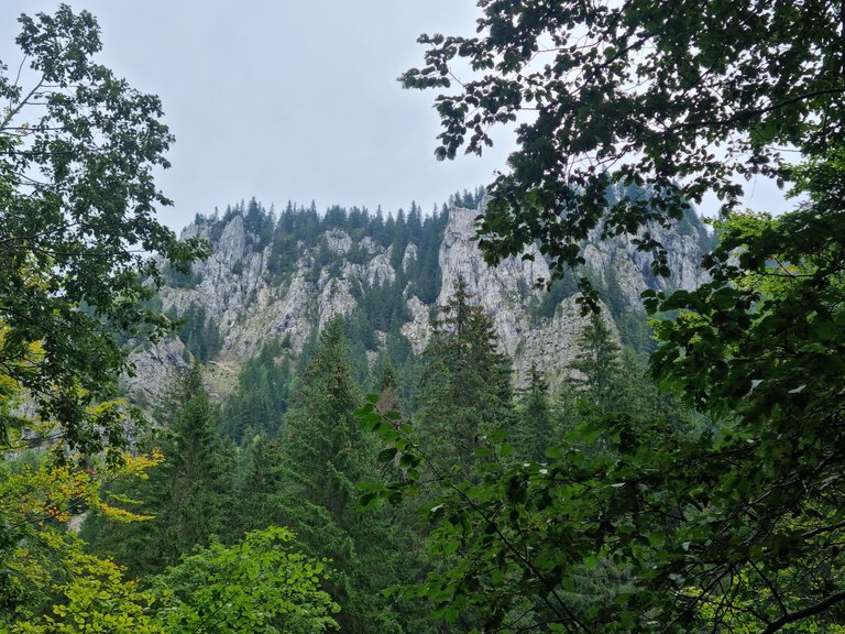 20230917_142930.jpg