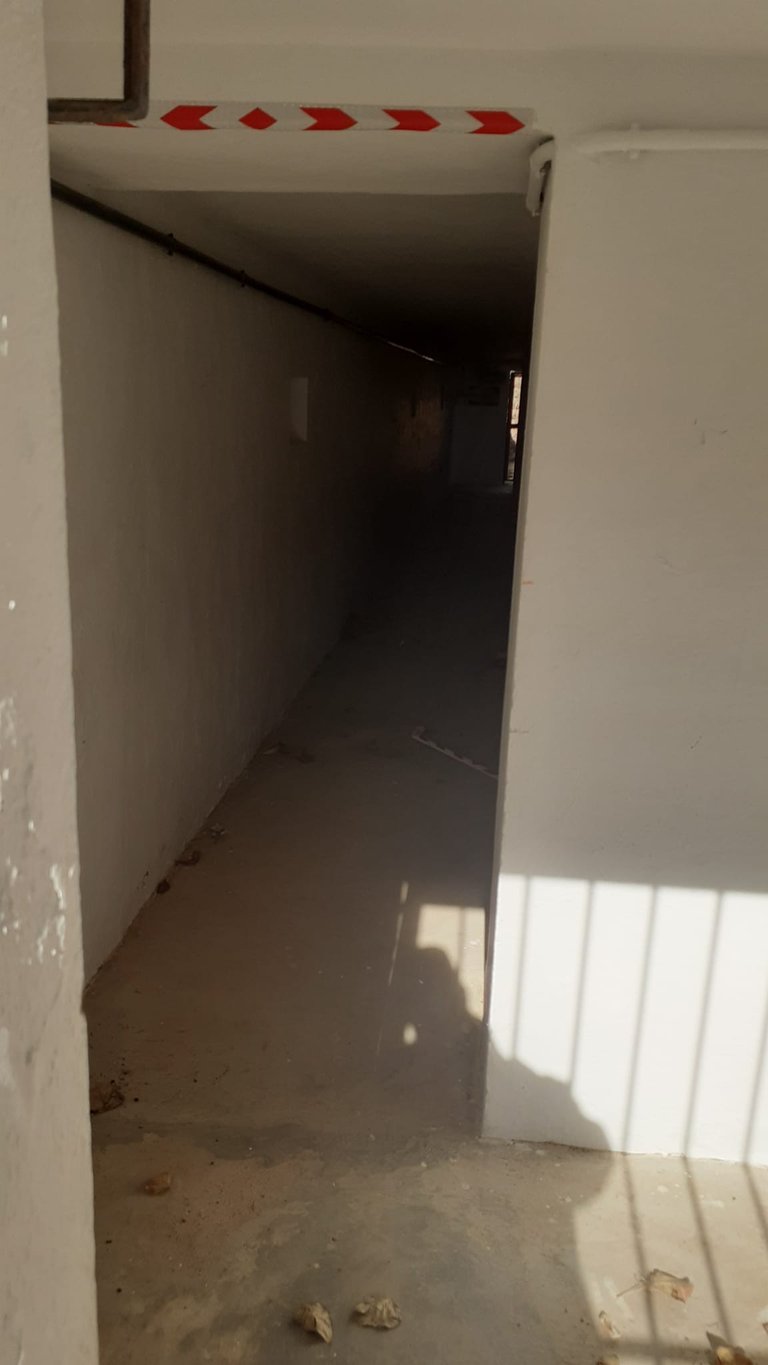 72F48322-ED63-4681-B679-56E471C3355F.jpeg