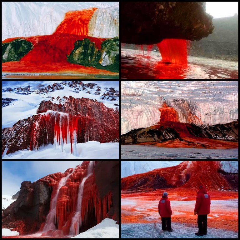 blood-falls-antarctica-a-naturally-occurring-plume-of-v0-u6p8awvexalc1.jpeg