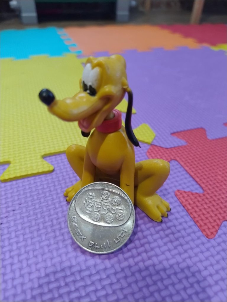1000008021.jpg