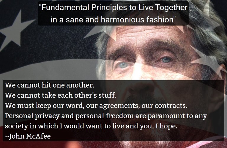 McAfee_principles.jpg